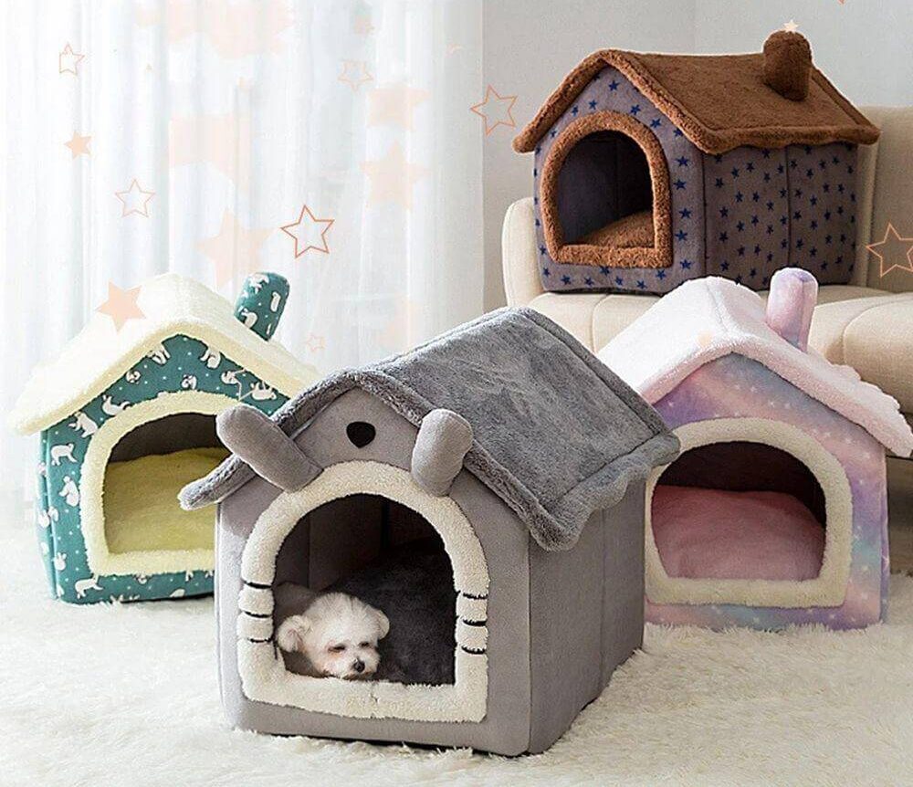 Tiêu chí nhà cho chó