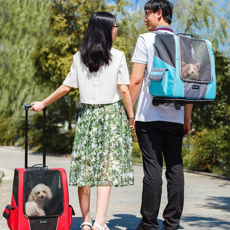 Túi vận chuyển chó