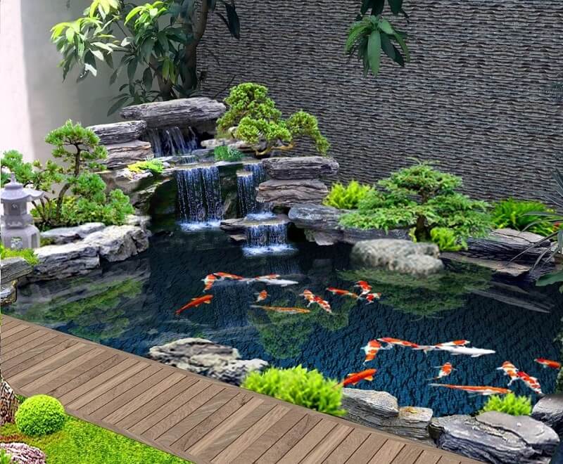 5 Loại cây thủy sinh bán cạn dễ trồng nhất hiện nay