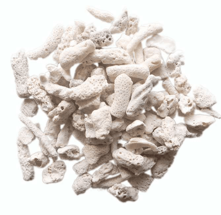 San hô vụn san hô vụn