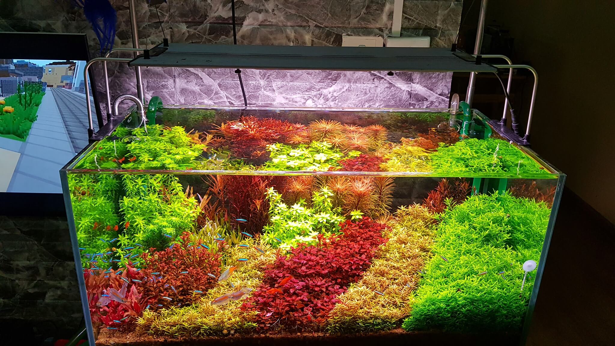 Read more about the article 5 Hệ thống lọc dành cho hồ thủy sinh được ưa chuộng