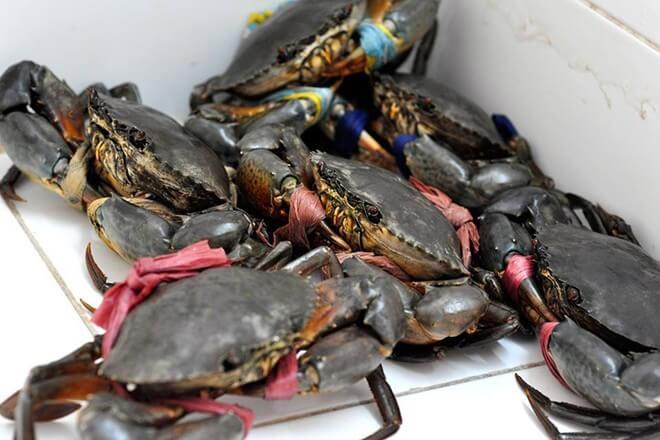 Cách chọn mua cua