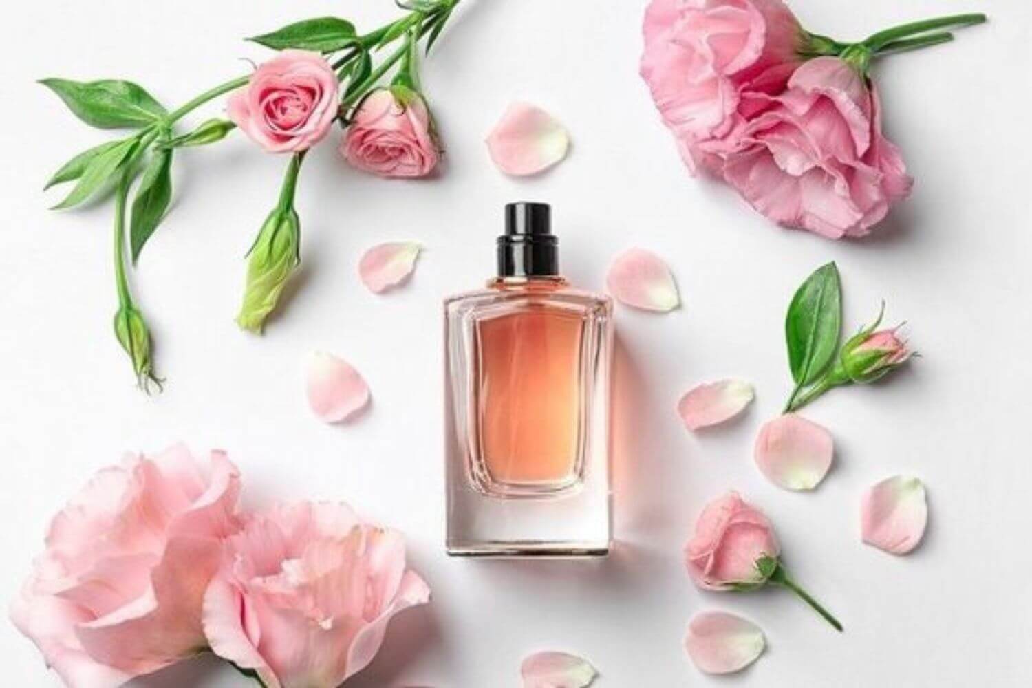 Nước hoa Nước hoa