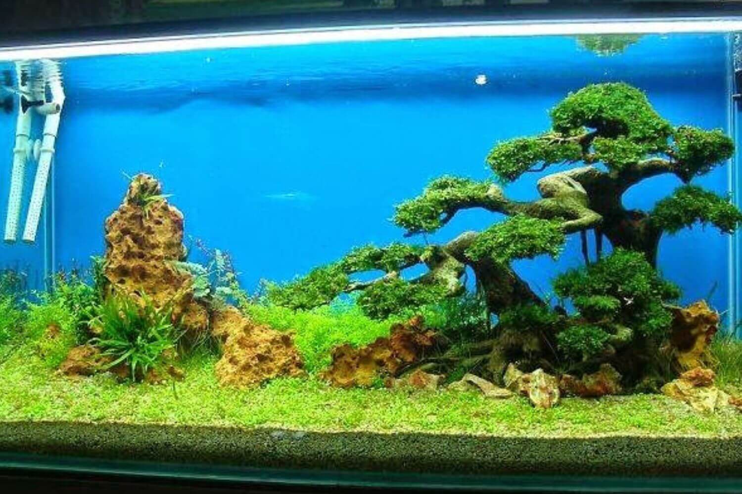 Cách khắc phục hiệu quả Cách khắc phục hiệu quả