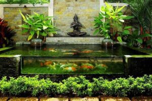 Read more about the article Hồ cá ngoài trời bị lên rêu xanh – Nguyên nhân và cách kiểm soát