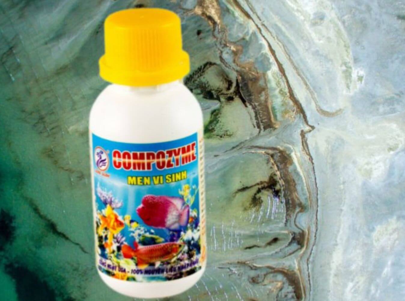 Vi sinh Compozyme