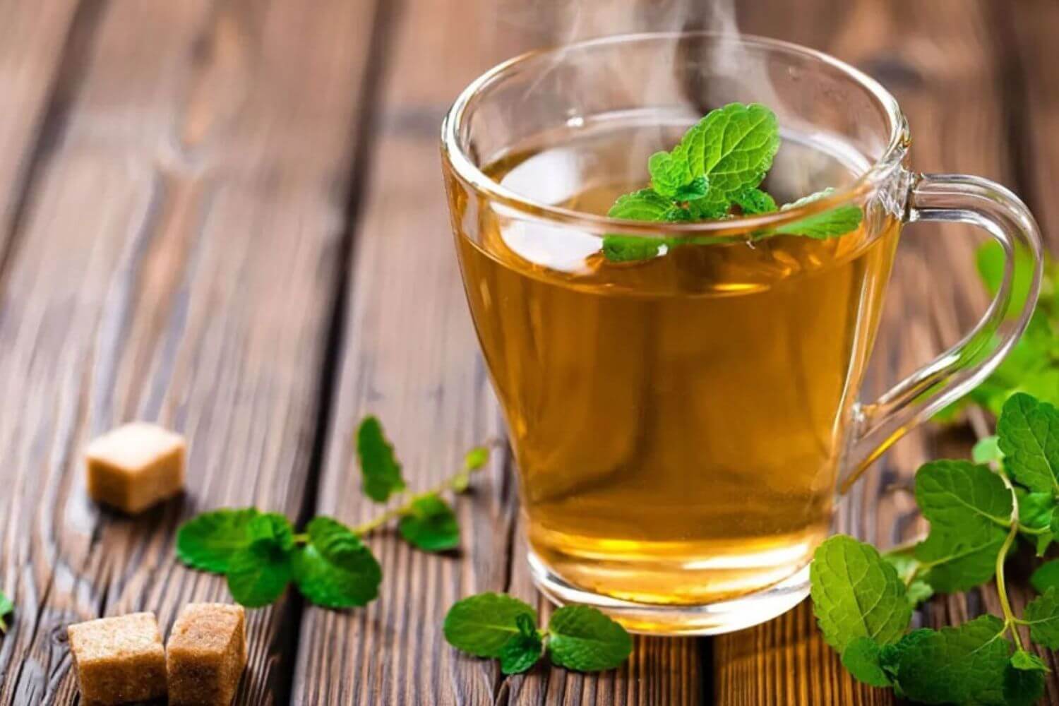 Trà Bạc Hà Trà Bạc Hà